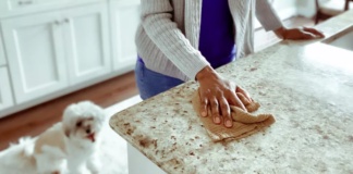 Держитесь подальше от этих 6 чистящих средств, если у вас есть домашние животные