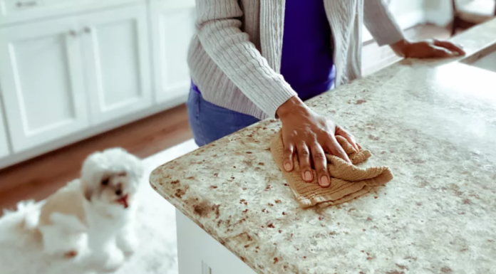 Держитесь подальше от этих 6 чистящих средств, если у вас есть домашние животные