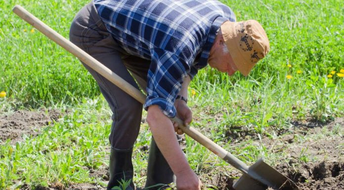 Закупка черенков для лопат и другого инвентаря