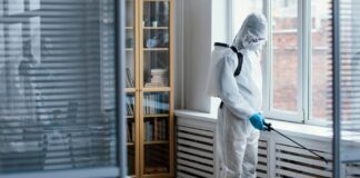 Когда нужна профессиональная обработка квартиры от вшей и как выбрать специалистов