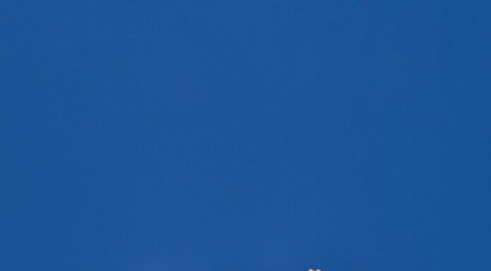 История займов: как человечество научилось одалживать и возвращать